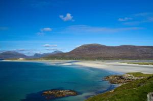 Wonderful beeches on Harris
